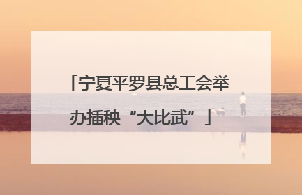 宁夏平罗县总工会举办插秧“大比武”
