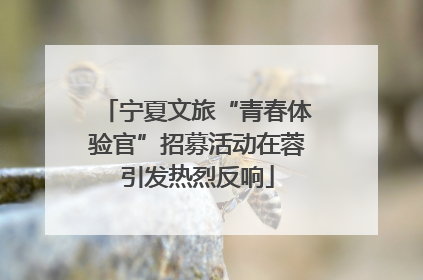宁夏文旅“青春体验官”招募活动在蓉引发热烈反响