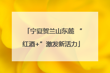 宁夏贺兰山东麓 “红酒+”激发新活力