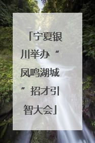 宁夏银川举办“凤鸣湖城”招才引智大会