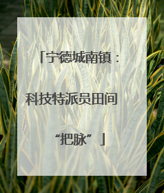 宁德城南镇：科技特派员田间“把脉”