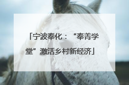 宁波奉化：“奉菁学堂”激活乡村新经济