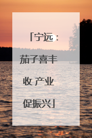 宁远：茄子喜丰收 产业促振兴