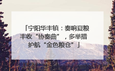 宁阳华丰镇：奏响夏粮丰收“协奏曲”，多举措护航“金色粮仓”