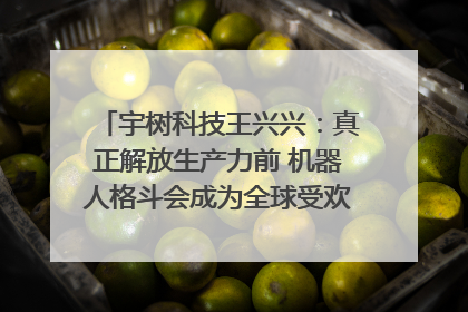 宇树科技王兴兴：真正解放生产力前 机器人格斗会成为全球受欢迎的赛事｜科技观察