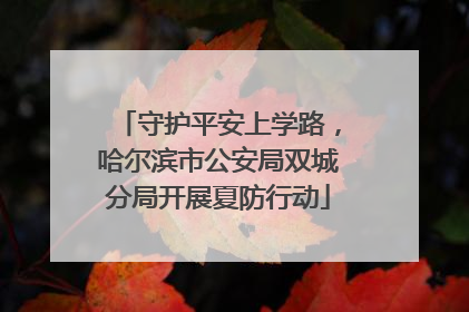 守护平安上学路，哈尔滨市公安局双城分局开展夏防行动