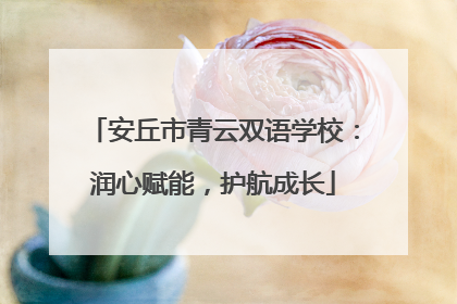 安丘市青云双语学校：润心赋能，护航成长