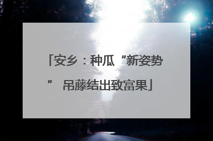 安乡：种瓜“新姿势” 吊藤结出致富果