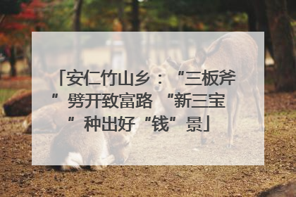 安仁竹山乡：“三板斧”劈开致富路 “新三宝”种出好“钱”景