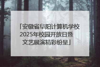 安徽省阜阳计算机学校2025年校园开放日暨文艺展演精彩纷呈