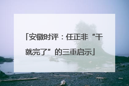 安徽时评：任正非“干就完了”的三重启示