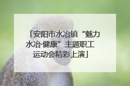 安阳市水冶镇“魅力水冶·健康”主题职工运动会精彩上演
