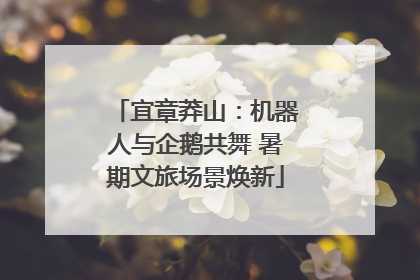 宜章莽山：机器人与企鹅共舞 暑期文旅场景焕新