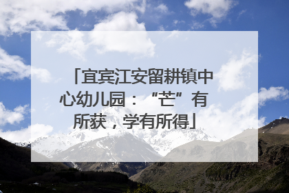 宜宾江安留耕镇中心幼儿园：“芒”有所获，学有所得