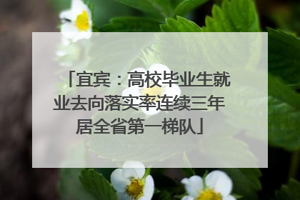 宜宾：高校毕业生就业去向落实率连续三年居全省第一梯队
