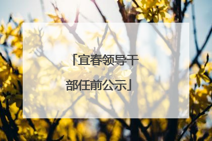 宜春领导干部任前公示