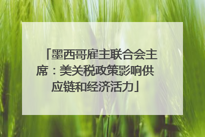 墨西哥雇主联合会主席：美关税政策影响供应链和经济活力
