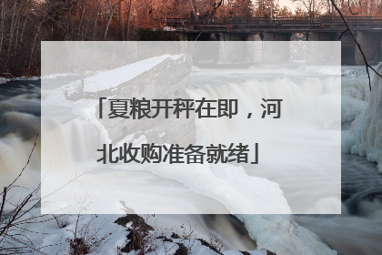 夏粮开秤在即，河北收购准备就绪