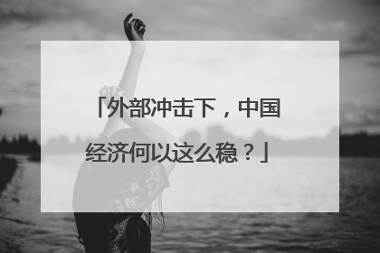 外部冲击下，中国经济何以这么稳？