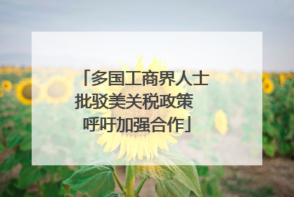 多国工商界人士批驳美关税政策 呼吁加强合作