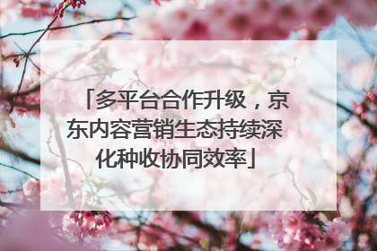 多平台合作升级，京东内容营销生态持续深化种收协同效率