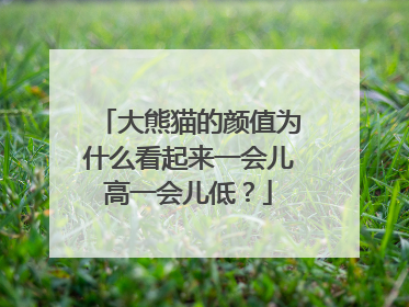 大熊猫的颜值为什么看起来一会儿高一会儿低？