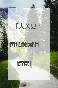 大关县：黄瓜触网销路宽