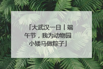 大武汉一日丨端午节，我为动物园小矮马做粽子