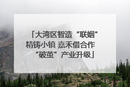 大湾区智造“联姻”精铸小镇 嘉禾借合作“破茧”产业升级