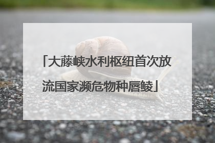 大藤峡水利枢纽首次放流国家濒危物种唇鲮