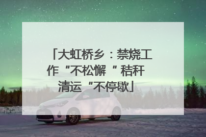 大虹桥乡：禁烧工作“不松懈“ 秸秆清运“不停歇