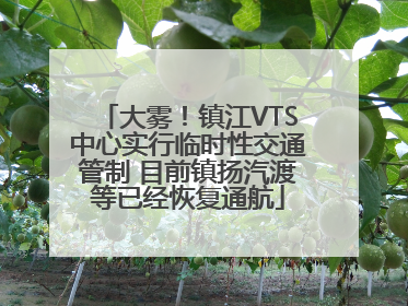 大雾！镇江VTS中心实行临时性交通管制 目前镇扬汽渡等已经恢复通航