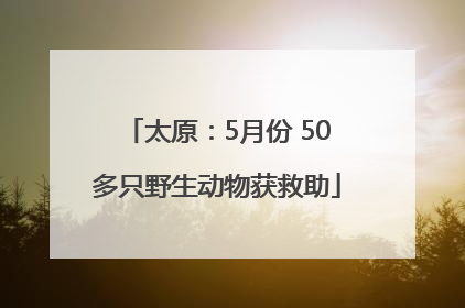 太原：5月份 50多只野生动物获救助