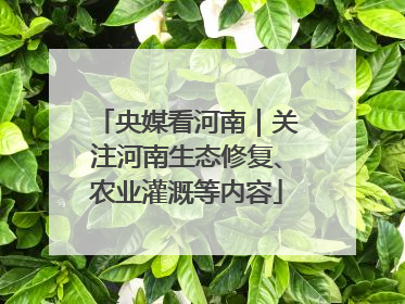 央媒看河南｜关注河南生态修复、农业灌溉等内容