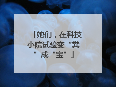 她们，在科技小院试验变“粪”成“宝”