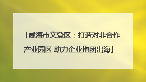 威海市文登区：打造对非合作产业园区 助力企业抱团出海