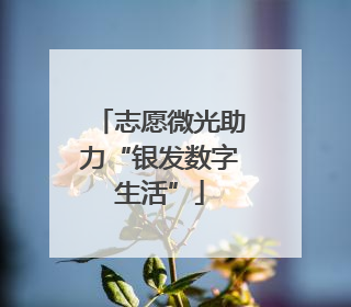 志愿微光助力“银发数字生活”