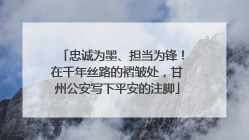 忠诚为墨、担当为锋！在千年丝路的褶皱处，甘州公安写下平安的注脚