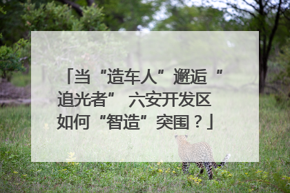 当“造车人”邂逅“追光者” 六安开发区如何“智造”突围？
