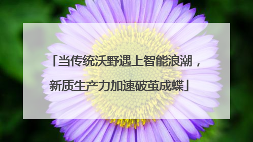 当传统沃野遇上智能浪潮，新质生产力加速破茧成蝶