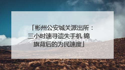 彬州公安城关派出所：三小时速寻遗失手机 锦旗背后的为民速度