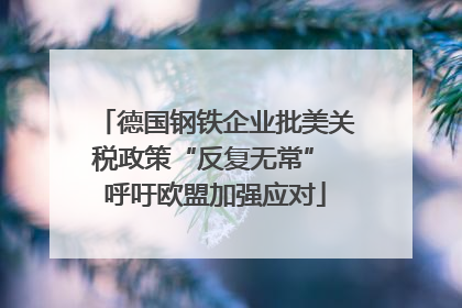 德国钢铁企业批美关税政策“反复无常” 呼吁欧盟加强应对