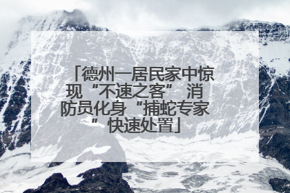 德州一居民家中惊现“不速之客” 消防员化身“捕蛇专家”快速处置