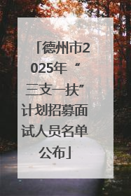德州市2025年“三支一扶”计划招募面试人员名单公布
