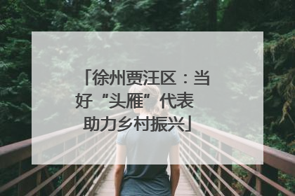 徐州贾汪区：当好“头雁”代表 助力乡村振兴