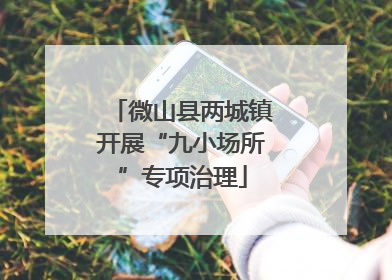 微山县两城镇开展“九小场所”专项治理