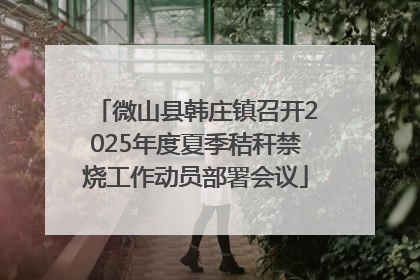微山县韩庄镇召开2025年度夏季秸秆禁烧工作动员部署会议