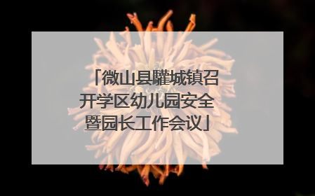 微山县驩城镇召开学区幼儿园安全暨园长工作会议