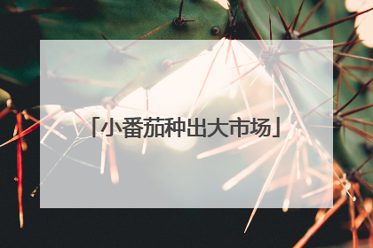 小番茄种出大市场