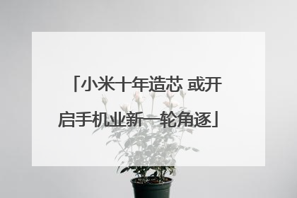 小米十年造芯 或开启手机业新一轮角逐